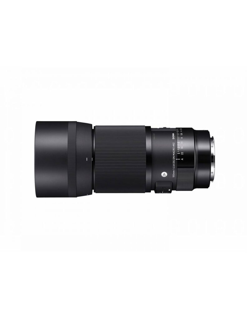Sigma 105 mm F2.8 DG DN Macro ART L Mount