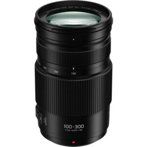 Panasonic G Vario 100-300 mm F/4-5.6