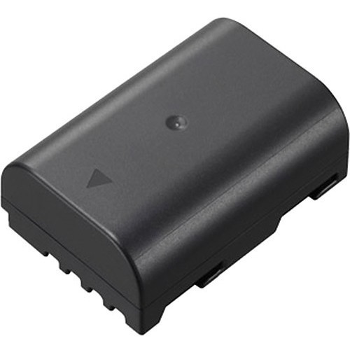 Panasonic dmw-blf19
