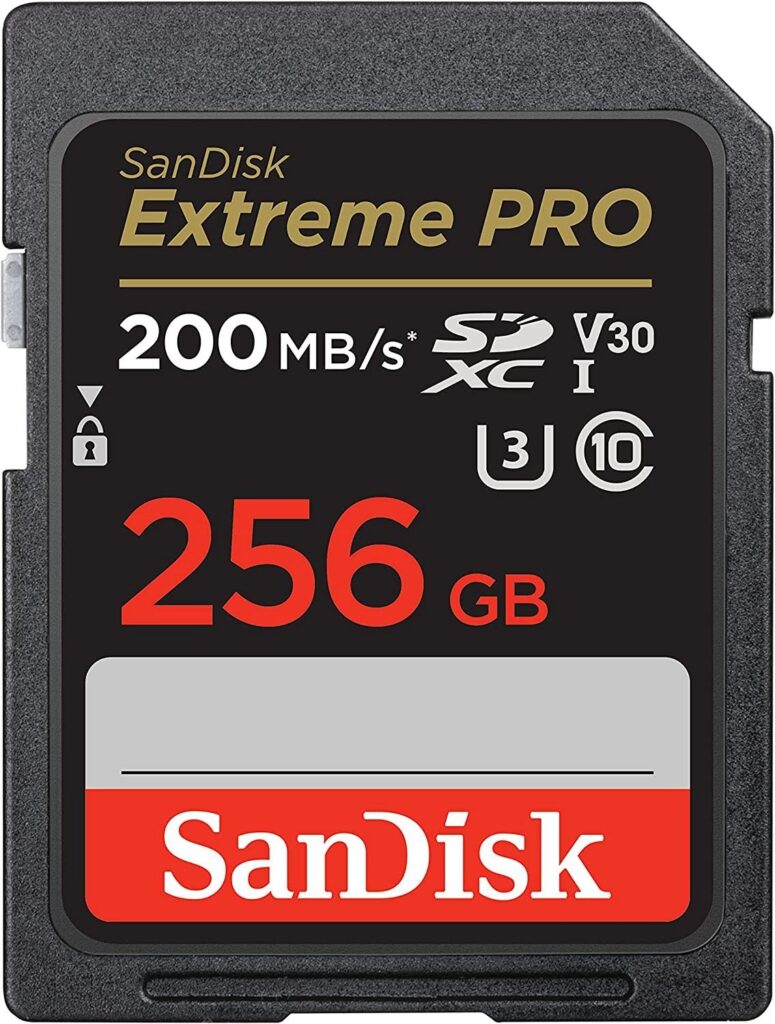 Sandisk Extrem Pro SDXC 256Go UHS-I V30 170MB/s